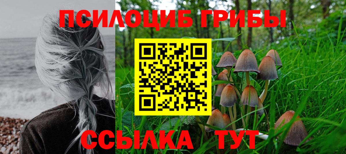 Псилоцибиновые грибы прущие грибы Благодарный